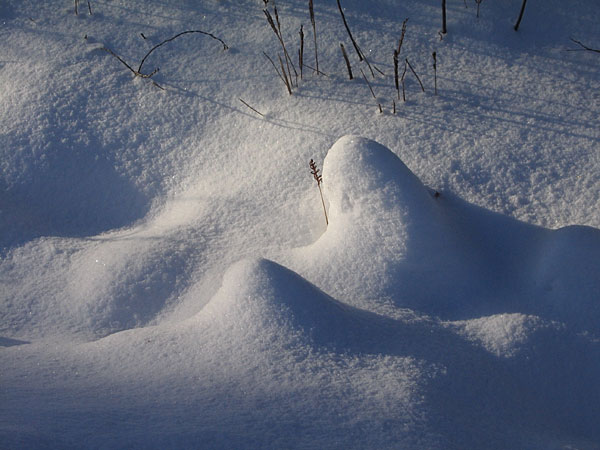 Snow shapes