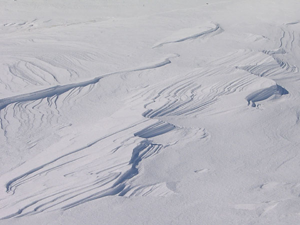 Burkes Beach at Point Alexander