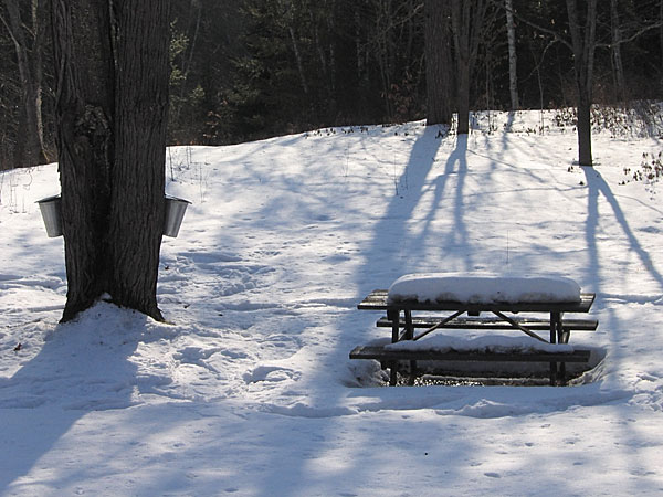 Picnic Table Snow Gauge