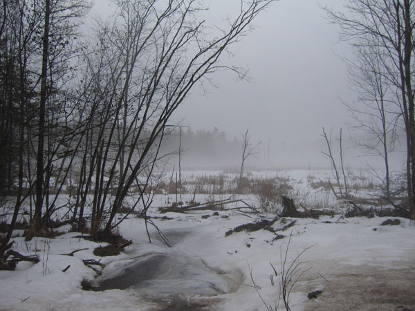 up the Bass Lake Road