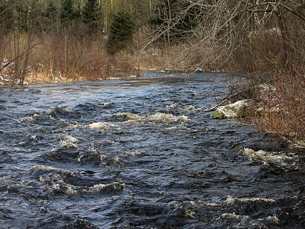 Chalk River in Spring Flood
