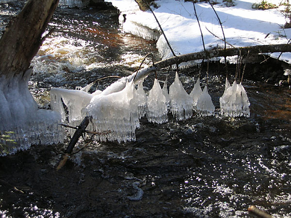 Ice Shapes  Kennedy Creek