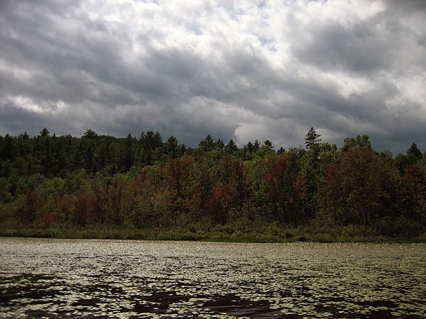 along the Barron River in Algonquin Park