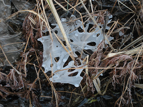 Ice Shapes