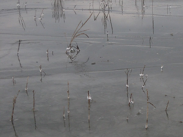 Deep River Waterfront