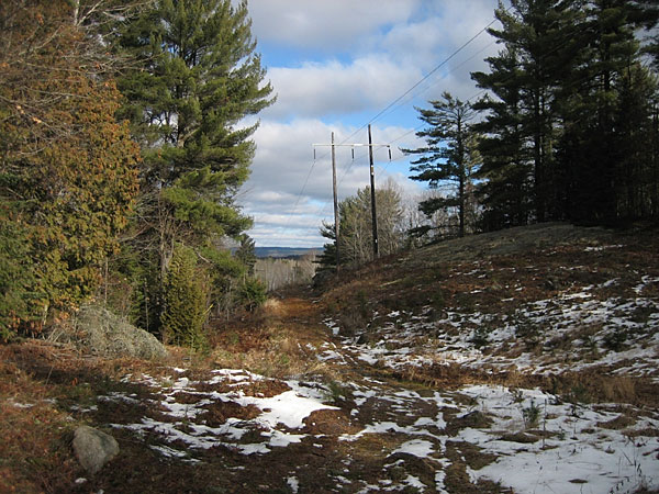 Petawawa Research Forest