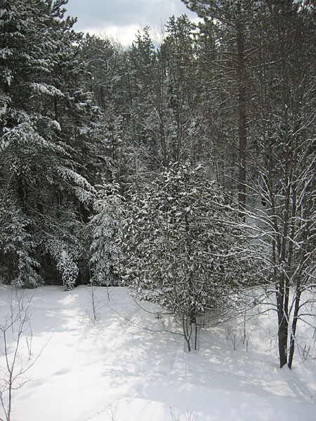 snow scene Point Alexander