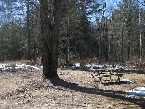 Picnic Table Snow Gauge