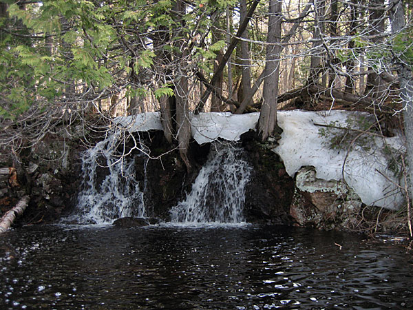 along the Barron River in Algonquin Park