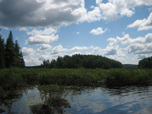 Cartier Lake in the Petawawa Research Forest