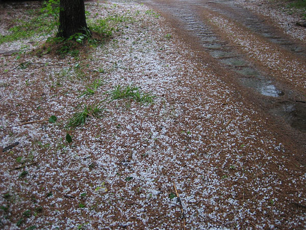 hail storm aftermath