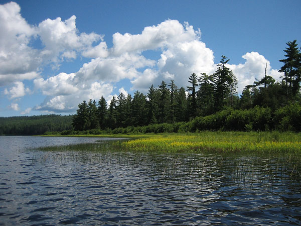 Lake Travers in Algonquin Park