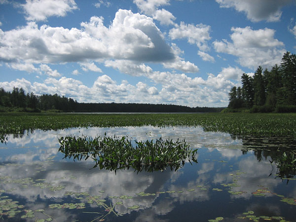 Lake Travers in Algonquin Park