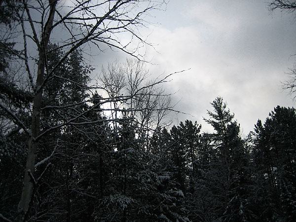 Winter Sky McConnell Creek Ravine