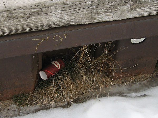 garbage debris litter at the Deep River Pier