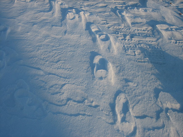 at the Deep River Pier in winter