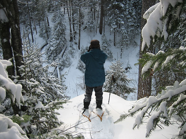 McConnell Creek Ravine