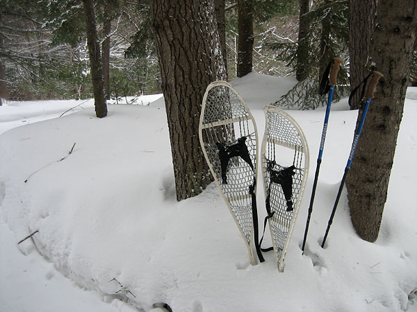 Snowshoes