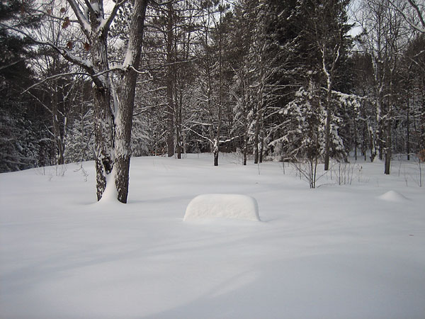 Picnic Table Snow Gauge