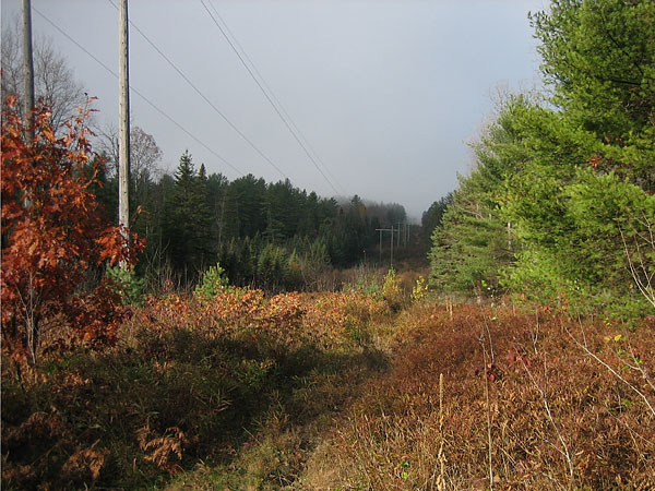 Deep River Four Seasons Forest Sanctuary