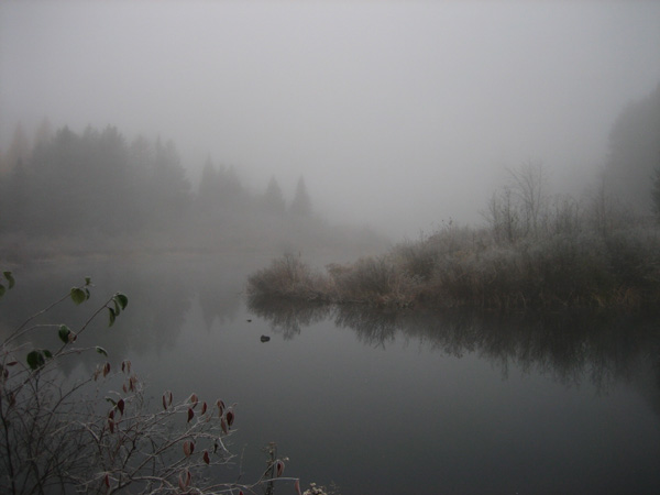 fog along Chalk River
