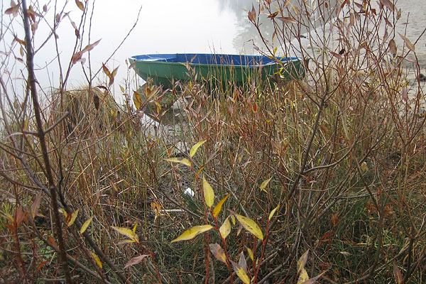 Blue Green Boat in the Deep River Marina
