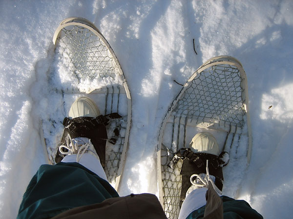 Snowshoes