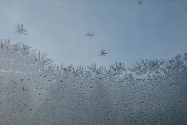 Frost patterns on window