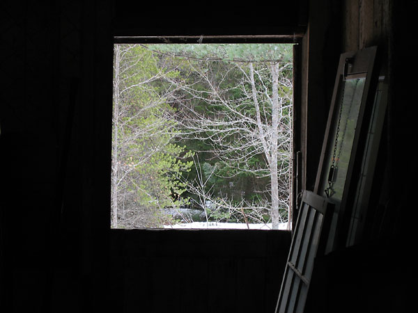 looking out the backdoor of our barn