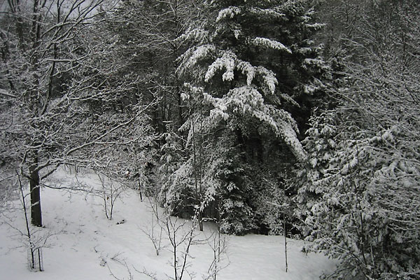 late season snow