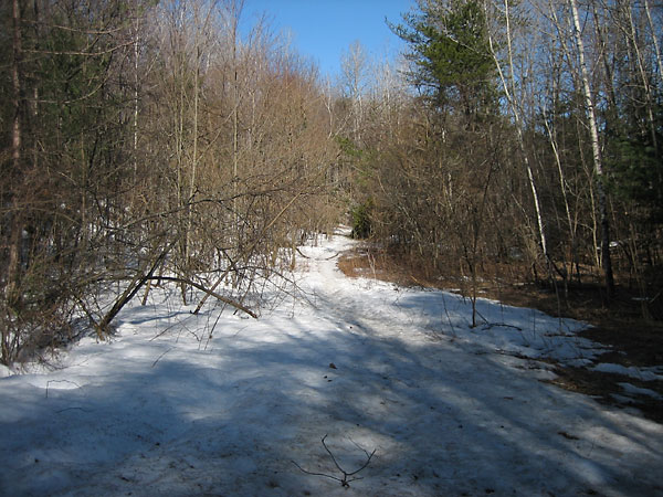 Back Path in Deep River