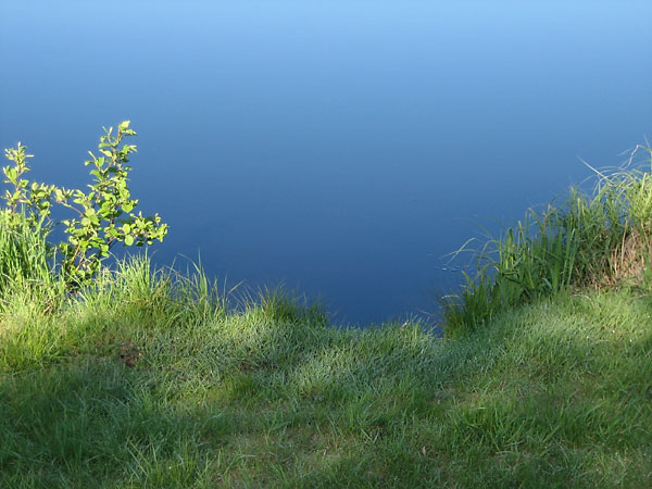Thomas Lake in the Petawawa Research Forest