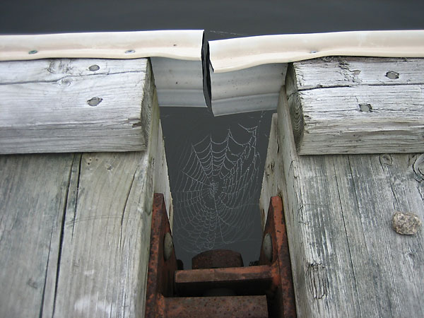 Cobweb at the Deep River Pier