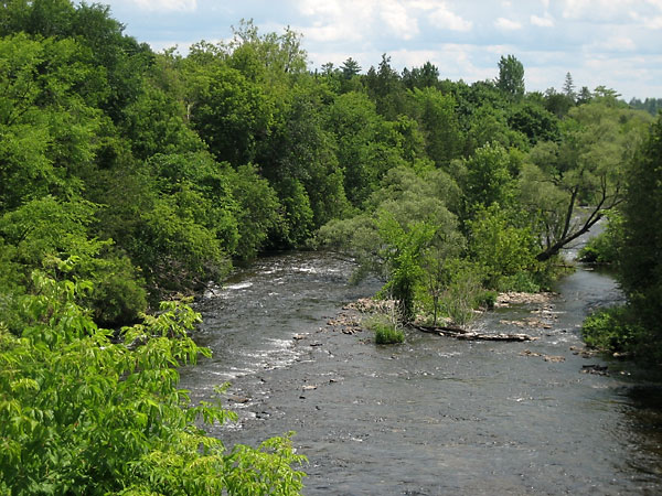 Bonnechere River at Eganville