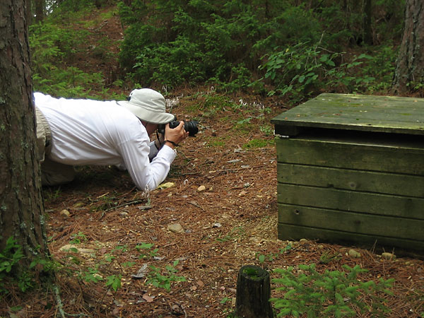 Island campsite on North Depot Lake in Algonquin Park