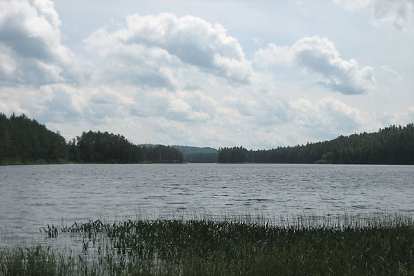 Looking south on Allan Lake in Algonquin Park