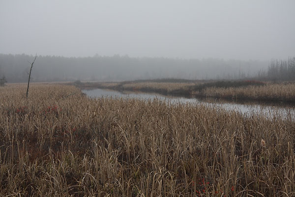 November Colours along the Chalk River