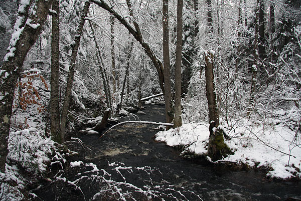 Kennedy Creek along the Silver Spoon Ski Trails in Deep River