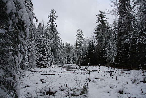 Beaver Pond along the Silver Spoon Ski Trails in Deep River