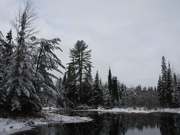 Beaver Pond along the Silver Spoon Ski Trails in Deep River