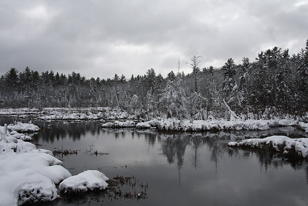 Kennedy Creek along the Silver Spoon Ski Trails in Deep River