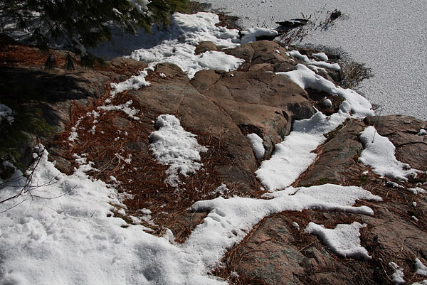 Maunsell Lake in the Petawawa Research Forest