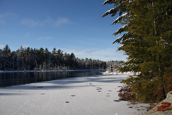 Maunsell Lake in the Petawawa Research Forest