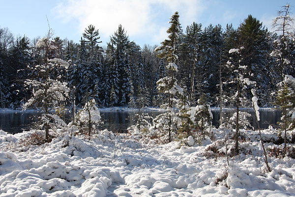 Maunsell Lake in the Petawawa Research Forest