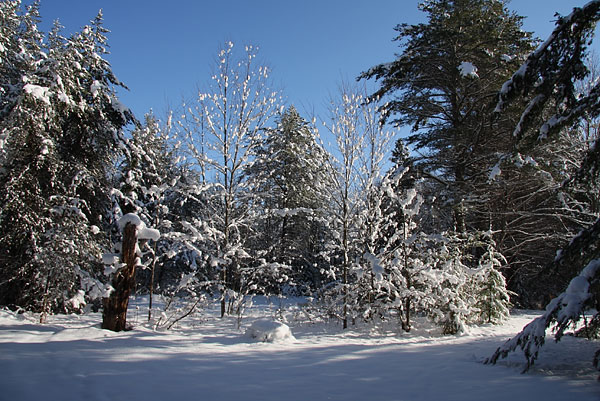 Sun and snow in Point Alexander