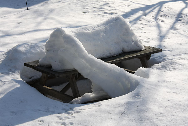 Picnic Table Snow Gauge in Point Alexander