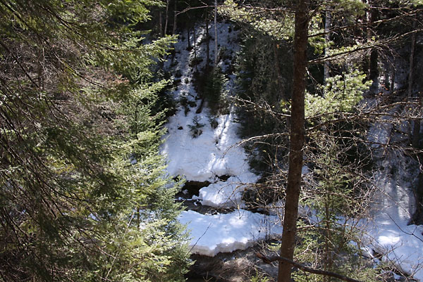 McConnel Creek Ravine in Point Alexander