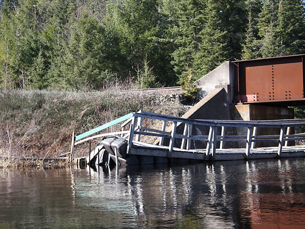 along the water trail along the Chalk River in the Petawawa Research Forest