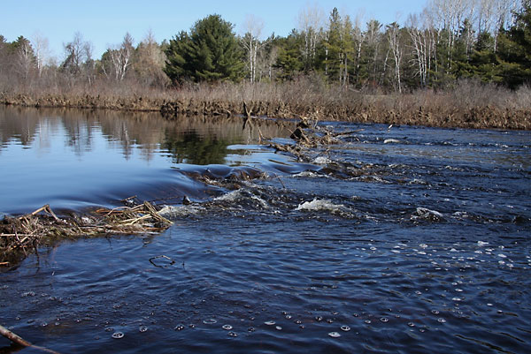beaver dam on Chalk River by the lookout along the water trail
