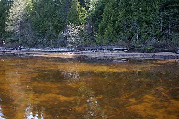 The clear waters of Tecumseh Lake in the Brent Crater in Algonquin Park